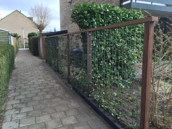 Begroeibare schutting van hardhouten frame met stalen draadgaas langs tuinpad.