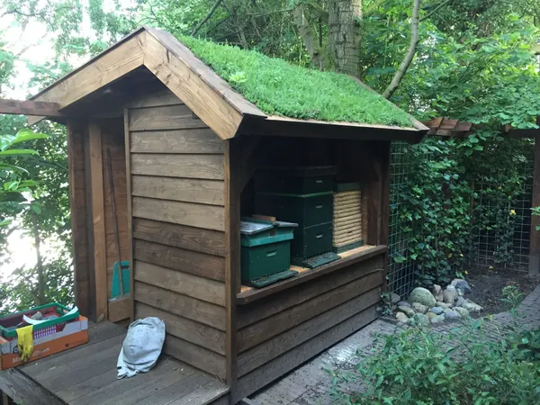 Houten bijenstal met groen sedumdak en bijenkasten in tuin.